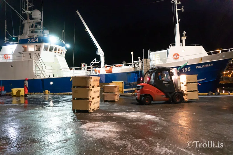 Landaður afli í Fjallabyggð 2025