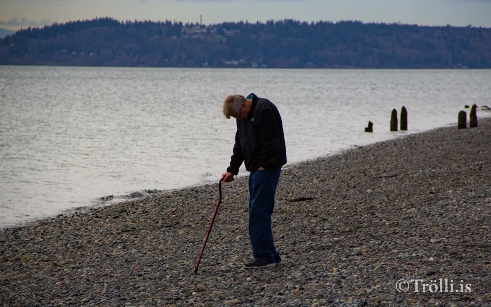 Lægsti taxti hjá Starfsgreinasambandi Íslands 104.822 kr. hærri en grunnlífeyrir frá TR