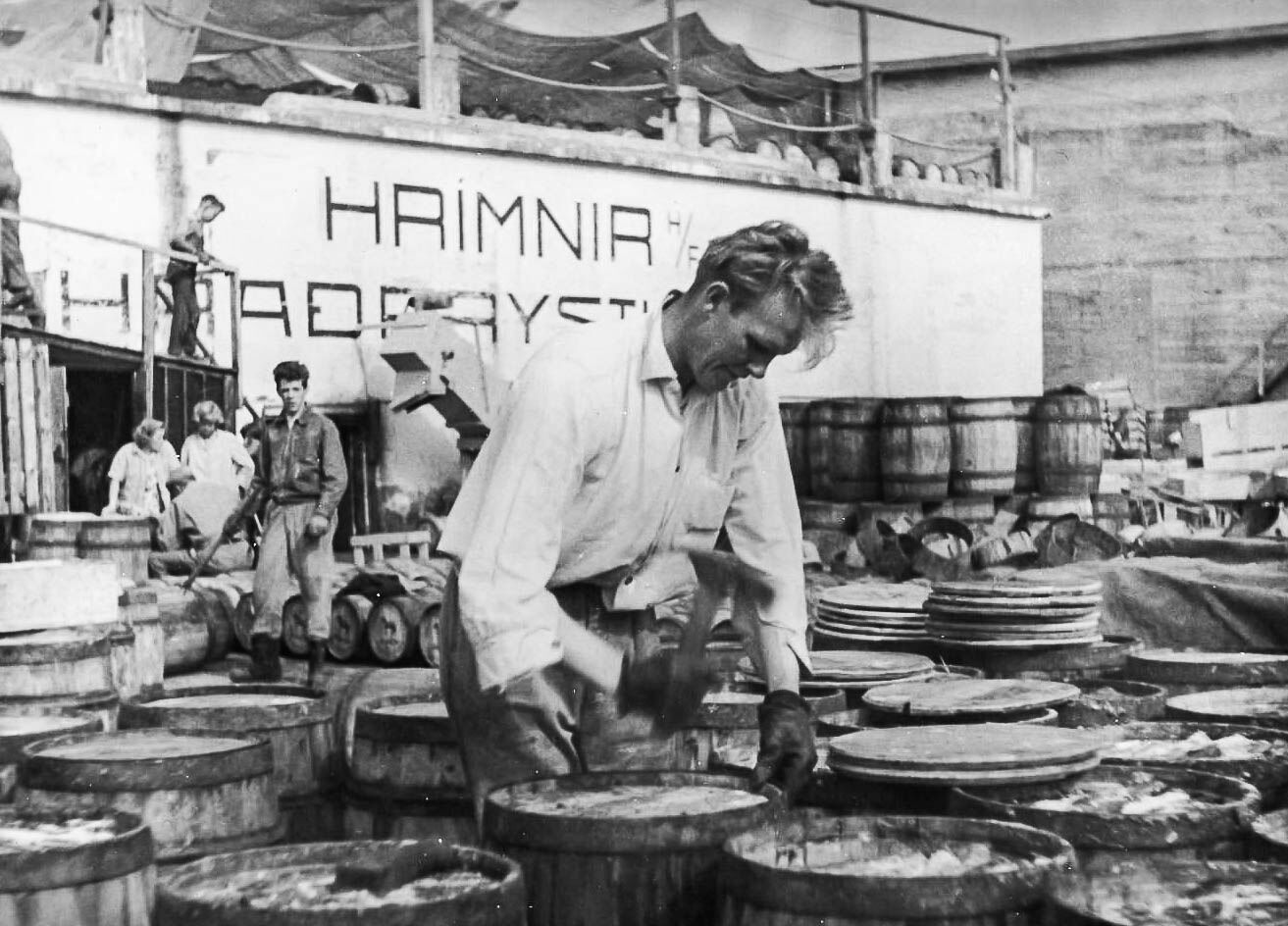 HRÍMNIR H/F. SÍLDARTUNNUR UPPÁ ÞAKI OG SUNDLAUG Í KJALLARANUM. 35 myndir