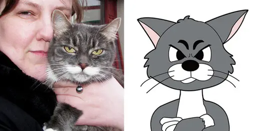 Barnabókahöfundur á Siglufirði hlýtur styrk úr Uppbyggingasjóði Norðurlands eystra - Grallarar